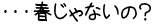・・・春じゃないの？